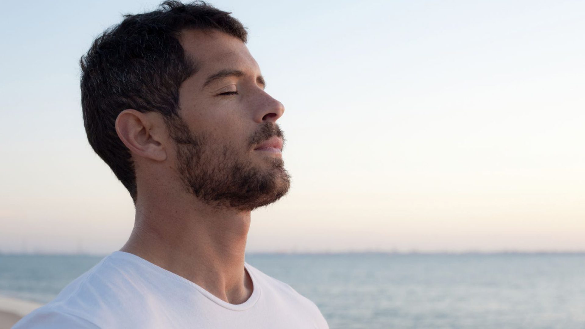 Lower Cortisol Levels Lower Cortisol Levels Dunedin